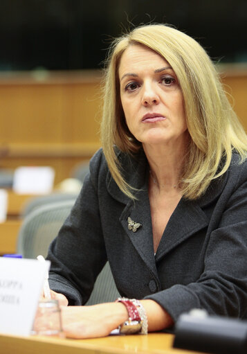 Fotografie 5: MEP Maria Eleni KOPPA in the European Parliament in Brussels