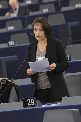 Fotografie 1: Plenary session week 50 2013 in Strasbourg - Joint debate - Justice