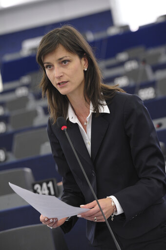 Fotografie 5: Plenary session week 50 2013 in Strasbourg - Joint debate - Justice