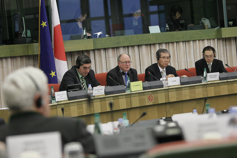 Fotagrafa 3: Preparatory meeting in view of the 35th EU-Japan Interparliamentary Meeting