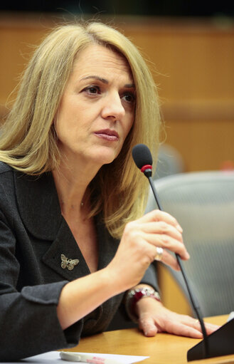 MEP Maria Eleni KOPPA in the European Parliament in Brussels