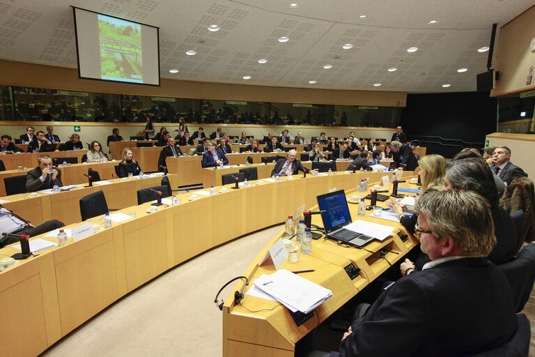 Foto 6: Conference : A Fair food chain for All