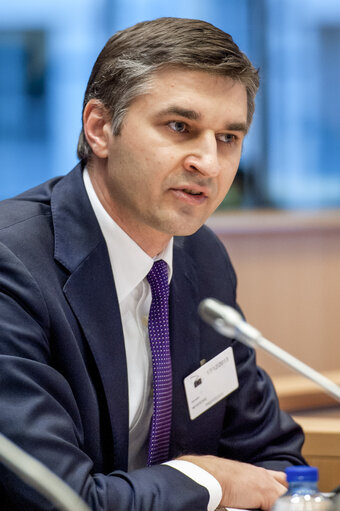 Fotografie 9: Joint Committee meeting EP ITRE - national parliaments on : The EU Internal Energy market for the 21st century.