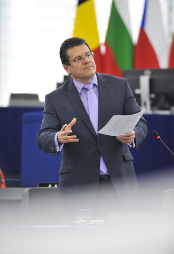 Fotografi 1: Plenary session week 50 2013 - Constitutional problems of a multitier governance