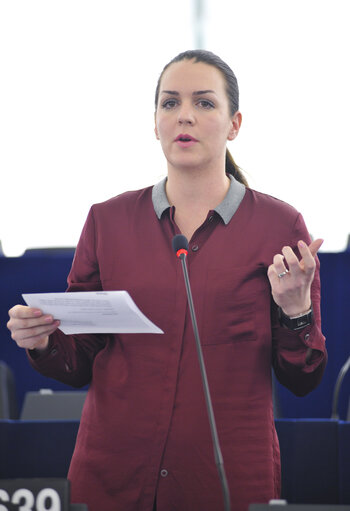 Fotografija 2: Plenary session week 50 2013 - Constitutional problems of a multitier governance