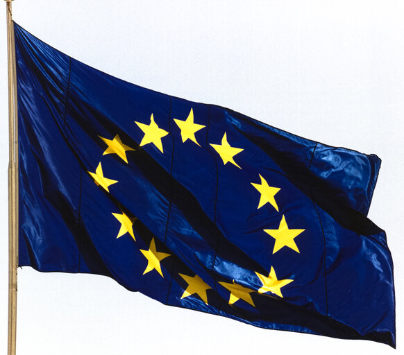 Photo 18: European flag
