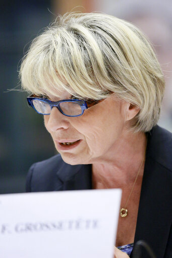 Снимка 19: ENVI committee meeting.  Hearing of Lithuanian health minister