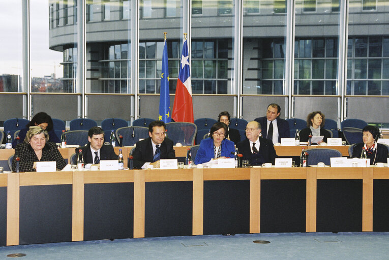 Photo 2: EP-Chile delegation meeting