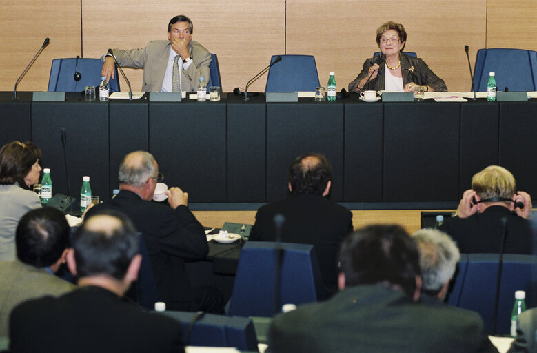 The MEP Astrid LULLING during a meeting in Strasbourg in Strasbourg in October 1999.