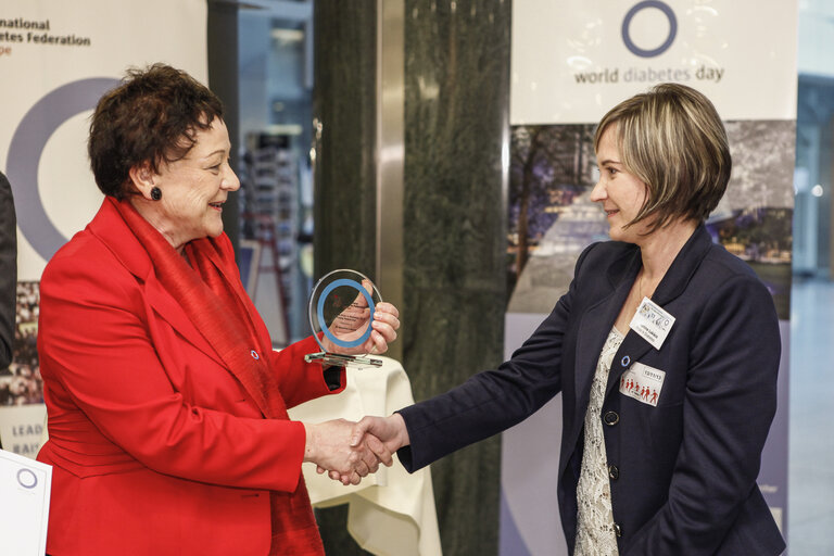 Fotografia 7: Award ceremony of the 2013 IDF Europe Prizes in Diabetes