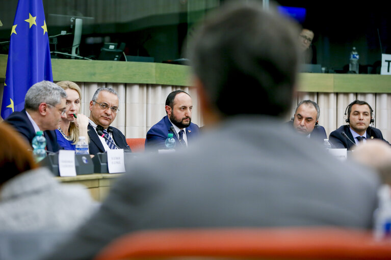 Fotografija 3: EU-Turkey delegation meeting