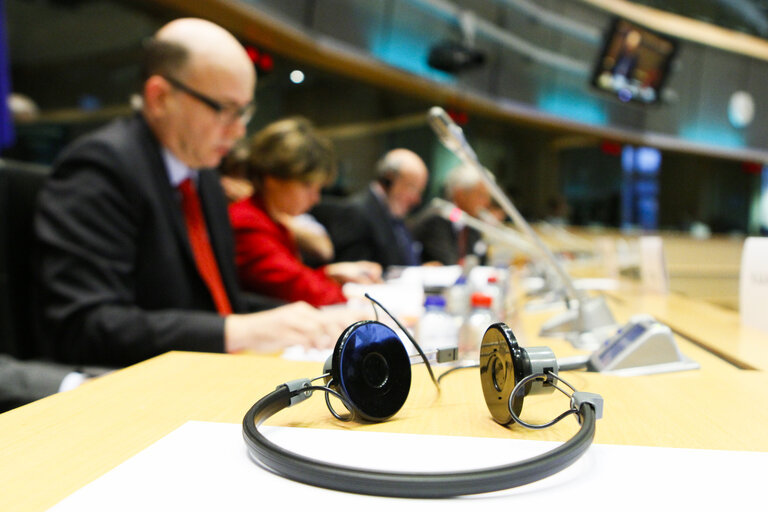 Foto 1: LIBE hearing on  The situation of Fundamental Rights in the EU how to strengthen fundamental rights, democracy and the rule of law in the EU