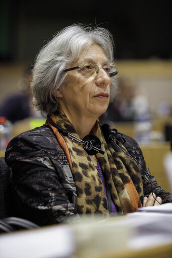 Fotografija 7: EU-Ukraine parliamentary cooperation committee