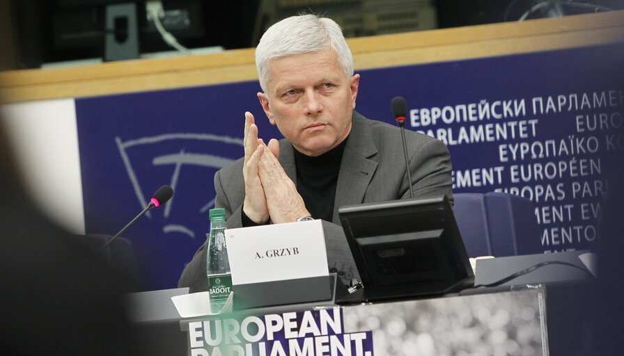 Fotografia 8: Joint meeting of the committee on foreign affairs, the committee on development and subcommittee on human rights, in association with the delegation for relations with Iran.  Exchange of views with the representatives of 2012 Sakharov prize laureates