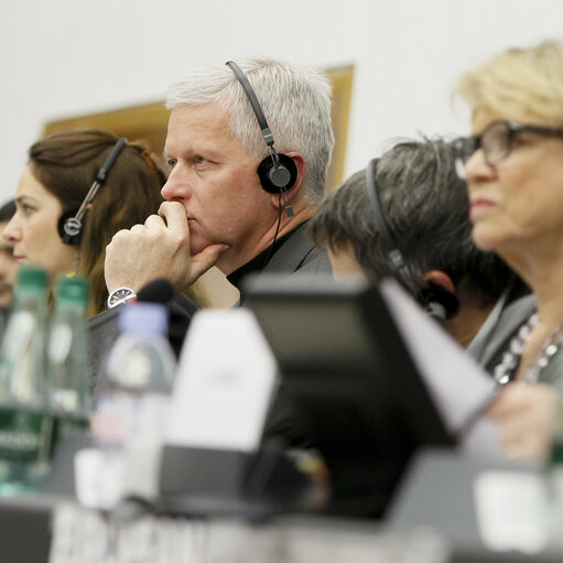 Fotografia 4: Joint meeting of the committee on foreign affairs, the committee on development and subcommittee on human rights, in association with the delegation for relations with Iran.  Exchange of views with the representatives of 2012 Sakharov prize laureates