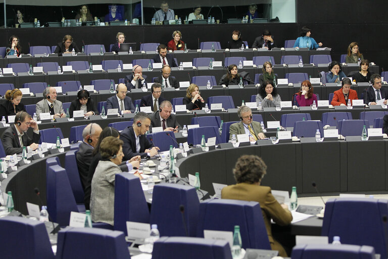 Fotografia 5: Joint meeting of the committee on foreign affairs, the committee on development and subcommittee on human rights, in association with the delegation for relations with Iran.  Exchange of views with the representatives of 2012 Sakharov prize laureates