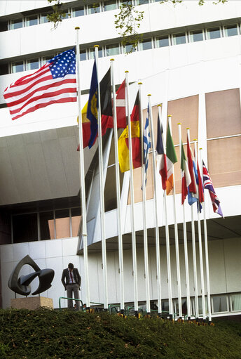 Photo 22: Flags of some country members of the European Union floating in the wind along with the American flag