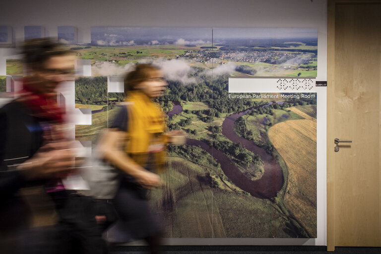 Fotografie 40: POLAND, Warsaw: Entrence to the European Parliament meeting room on COP19, November 19, 2013.