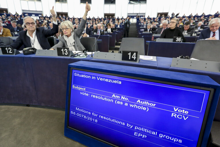 Fotografija 7: Plenary session - Week 06 2018 in Strasbourg - Panel vote - Situation in Venezuela