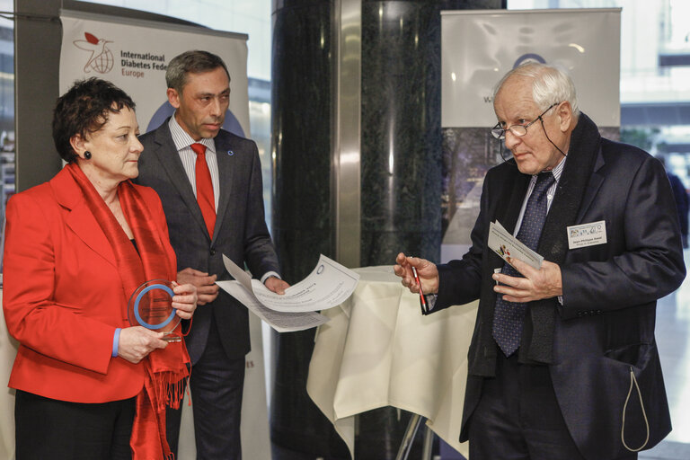 Fotografia 14: Award ceremony of the 2013 IDF Europe Prizes in Diabetes