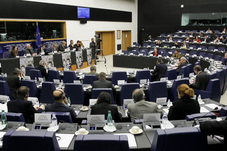 Fotó 2: Joint meeting of the committee on foreign affairs, the committee on development and subcommittee on human rights, in association with the delegation for relations with Iran.  Exchange of views with the representatives of 2012 Sakharov prize laureates