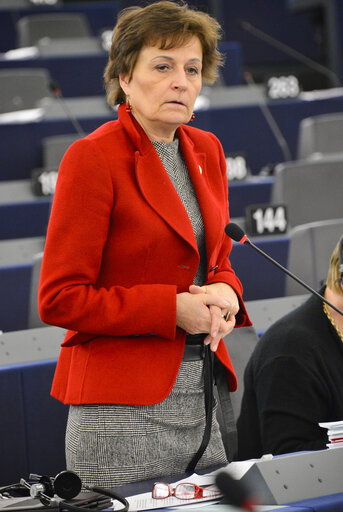 Billede 12: Plenary Session Week 50 - 2012 in Strasbourg - New EU-Russia agreement