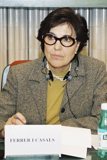 Zdjęcie 26: The MEP Concepcio FERRER during a meeting in Strasbourg in October 1999.