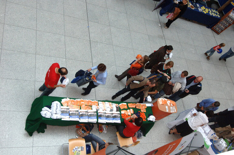 Foto 12: Open day of the European Parliament in Brussels