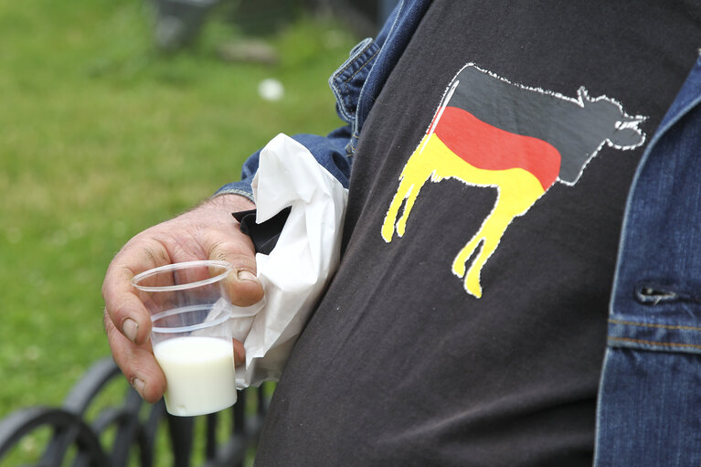 Fotografie 11: Milk producers of the European Milk Board protest in front of the European Parliament to draw attention to the pressing problems of the milk market.