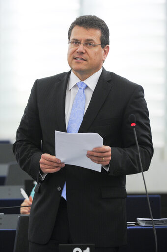 Plenary Session in Strasbourg - Week 21 - 2012