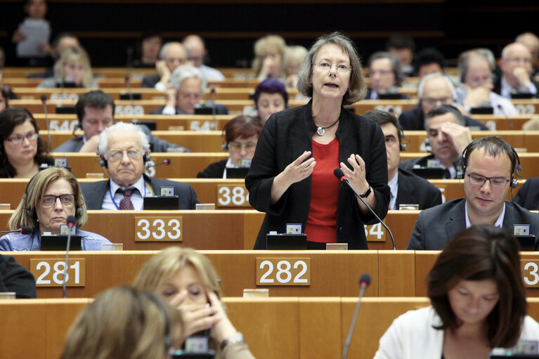 Plenary Session in Brussels - Week 19 - 2012