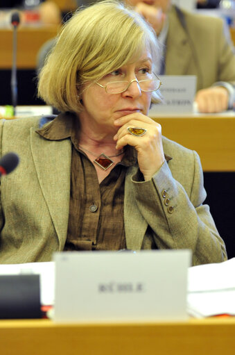 Fotografie 2: Heide RUHLE in a meeting at the EP in Brussels.