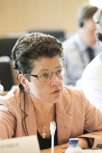 Foto 4: Interparlamentary committee meeting, EP - national parliaments