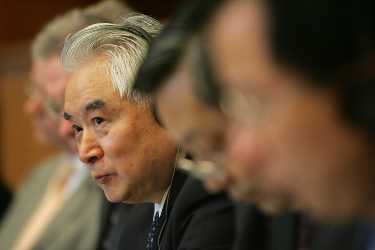 Fotografie 2: EU-China Interparliamentary Meeting - Representatives from the National People's Congress meet MEPs in Brussels. The meeting, co-chaired by EP Delegation Chair and by the Vice Chairman of the Foreign Affairs Committee of the National People's Congress, tackles political issues such as regional security and human rights, and economic issues such as agricultural policy and the international financial situation