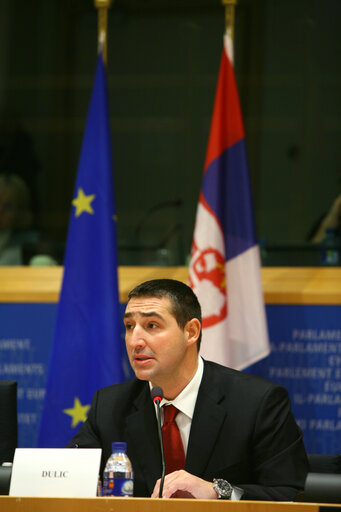 AFET Committee meeting with the Speaker of the National Assembly of Serbia.