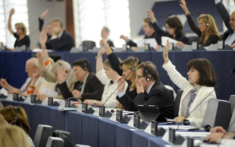 Fotografie 4: MEP Maria do Ceu PATRAO NEVES voting in plenary session