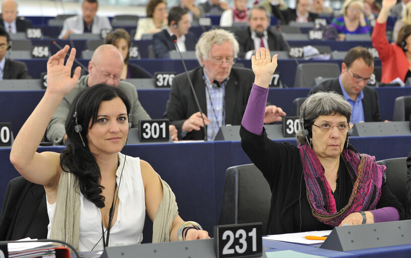 Foto 5: plenary session in Strasbourg week 21 - 2012, voting