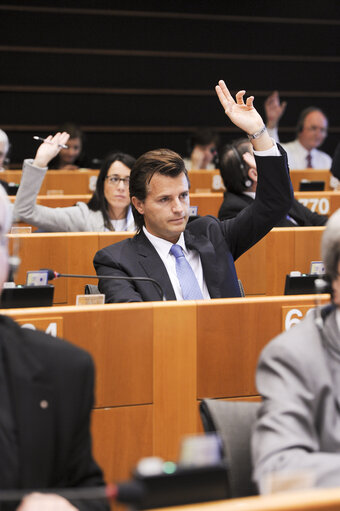 Photo 2 : Vote during Plenary Session in Brussels - Week 19 - 2012