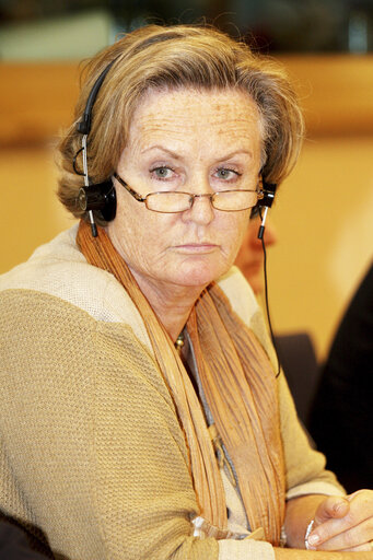 Valokuva 1: Avril DOYLE in a meeting at the EP in Brussels.