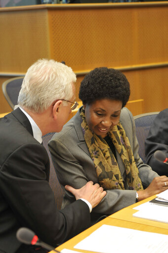 Foto 2: AFET Committee meeting with the Deputy Secretary-General of the UN.