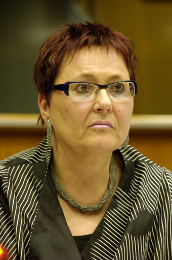 MEP Karin JONS in a meeting at the EP in Brussels.