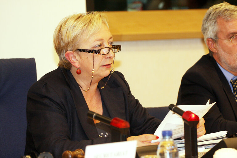 Foto 2: Rosa MIGUELEZ RAMOS in a meeting at the EP in Brussels.