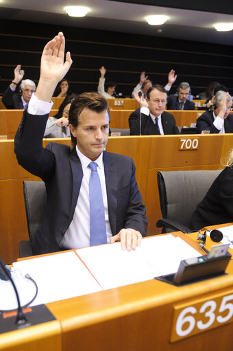 Vote during Plenary Session in Brussels - Week 19 - 2012