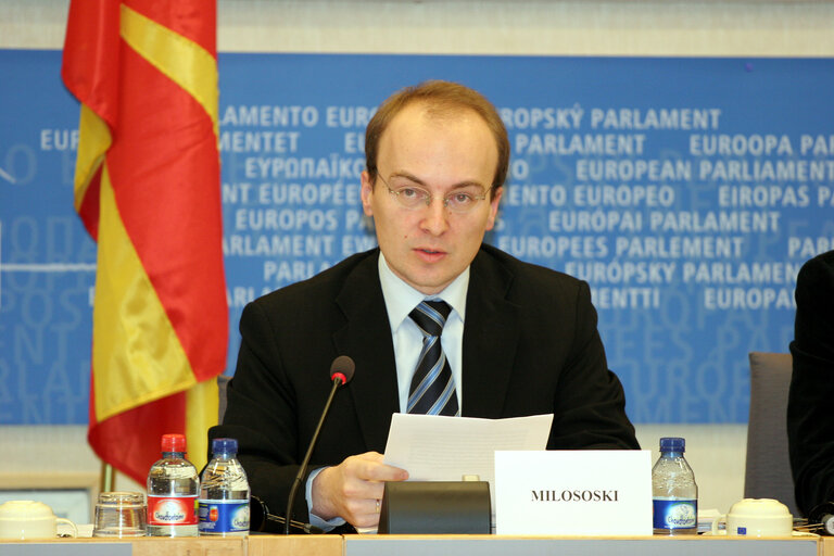 Fotografie 1: AFET Committee joint meeting with the Minister for Foreign Affairs of Macedonia.