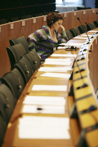 Zdjęcie 4: Hanne DAHL in plenary session in Brussels.