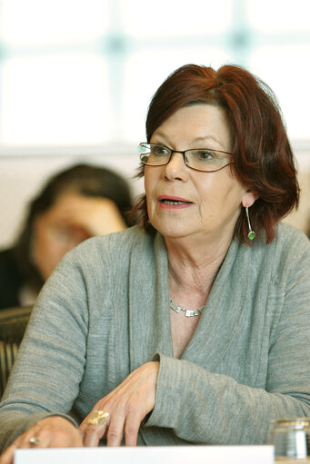 Fotografie 4: MEP Gisela KALLENBACH attends a meeting in Brussels