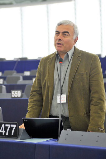 Plenary Session in Strasbourg - Week 21 - 2012