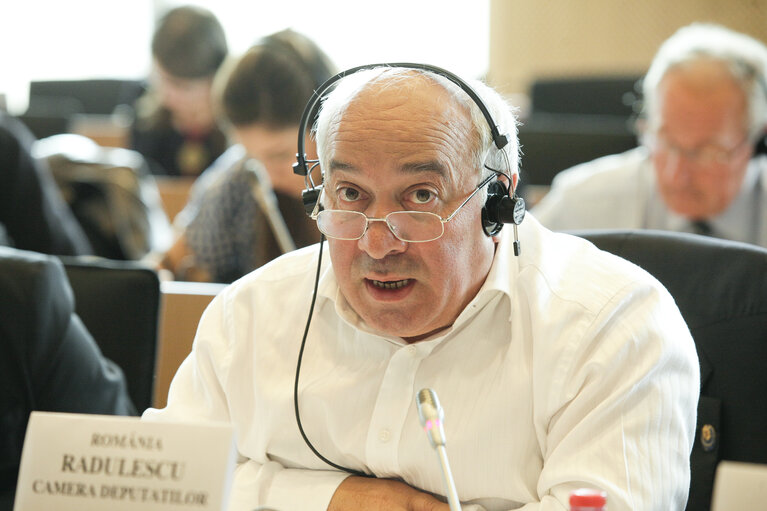 Foto 2: Interparlamentary committee meeting, EP - national parliaments