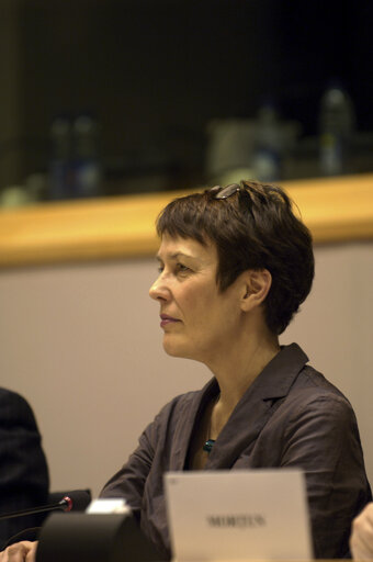 MEP Satu HASSI attends a meeting in Brussels