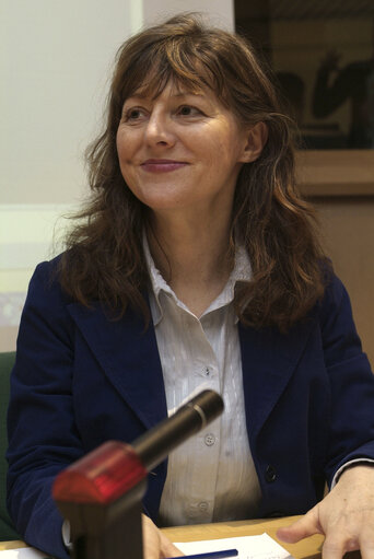 Foto 10: Hiltrud BREYER in a meeting at the EP in Brussels.